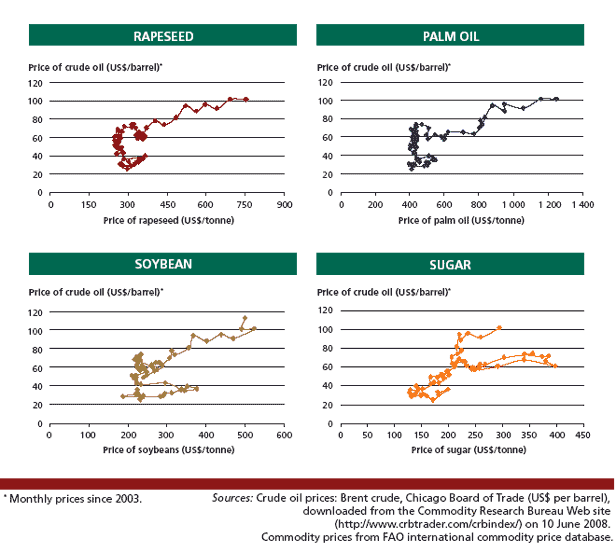 Price relationships between crude oil and other biofuel feedstocks,
                2003-08