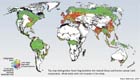 Verwachte fragmentering van bossen door antropogene tussenkomst