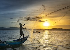 Pêche et aquaculture Page d'accueil