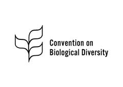 Diversidad biologica inicio